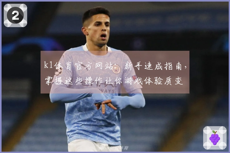 k1体育官方网站：新手速成指南，掌握这些操作让你游戏体验质变