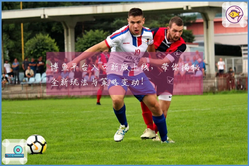 博鱼平台入口新版上线，带你揭秘全新玩法与策略变动！