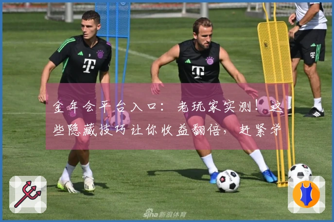 金年会平台入口：老玩家实测！这些隐藏技巧让你收益翻倍，赶紧学起来！