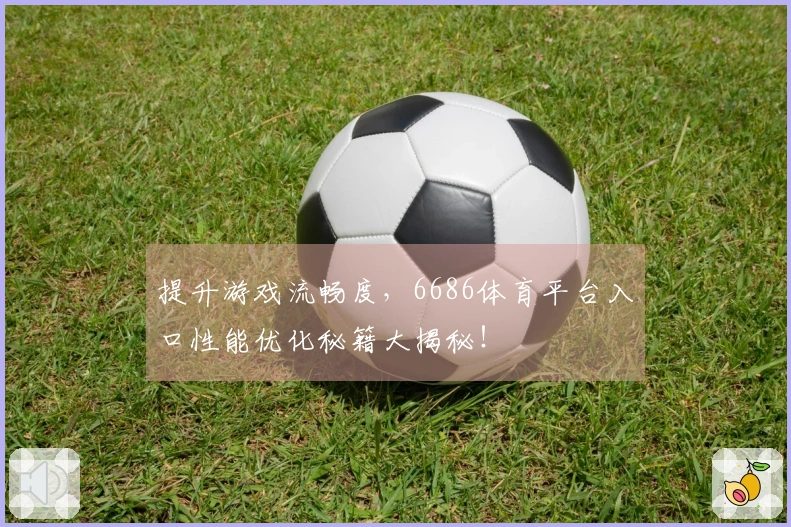 提升游戏流畅度，6686体育平台入口性能优化秘籍大揭秘！