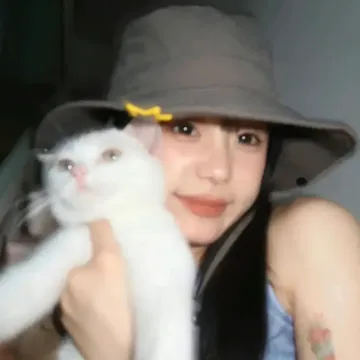 北纬用户